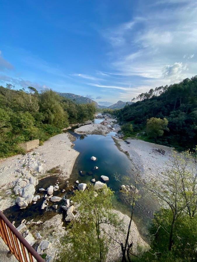 La Frigoule, Un Gite Au Coeur Du Parc Des Cevennes Generargues Eksteriør bilde