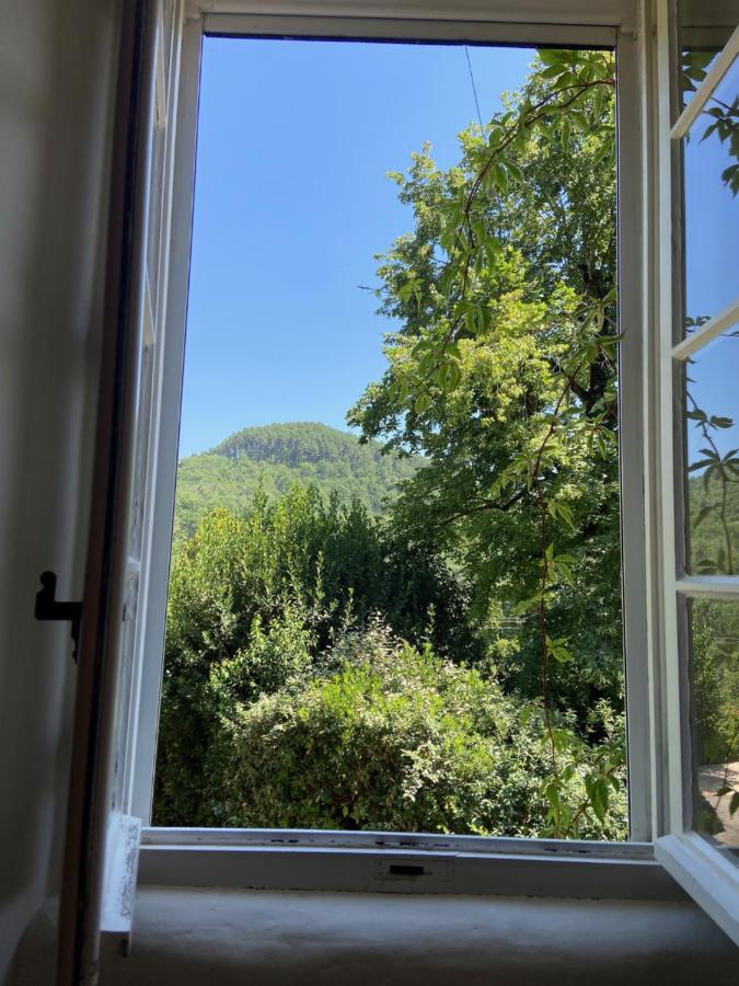 La Frigoule, Un Gite Au Coeur Du Parc Des Cevennes Generargues Eksteriør bilde