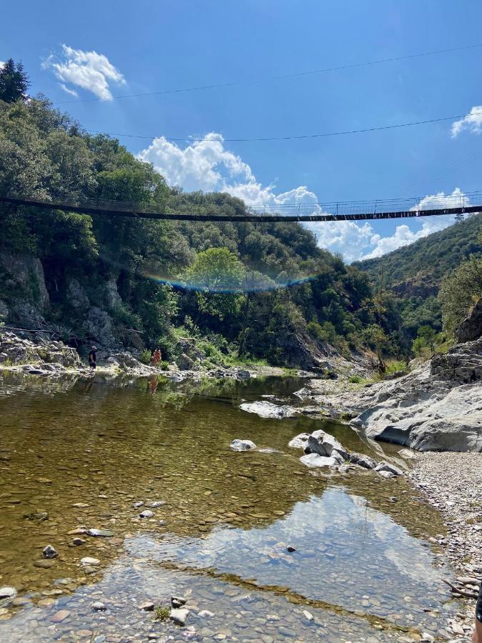 La Frigoule, Un Gite Au Coeur Du Parc Des Cevennes Generargues Eksteriør bilde